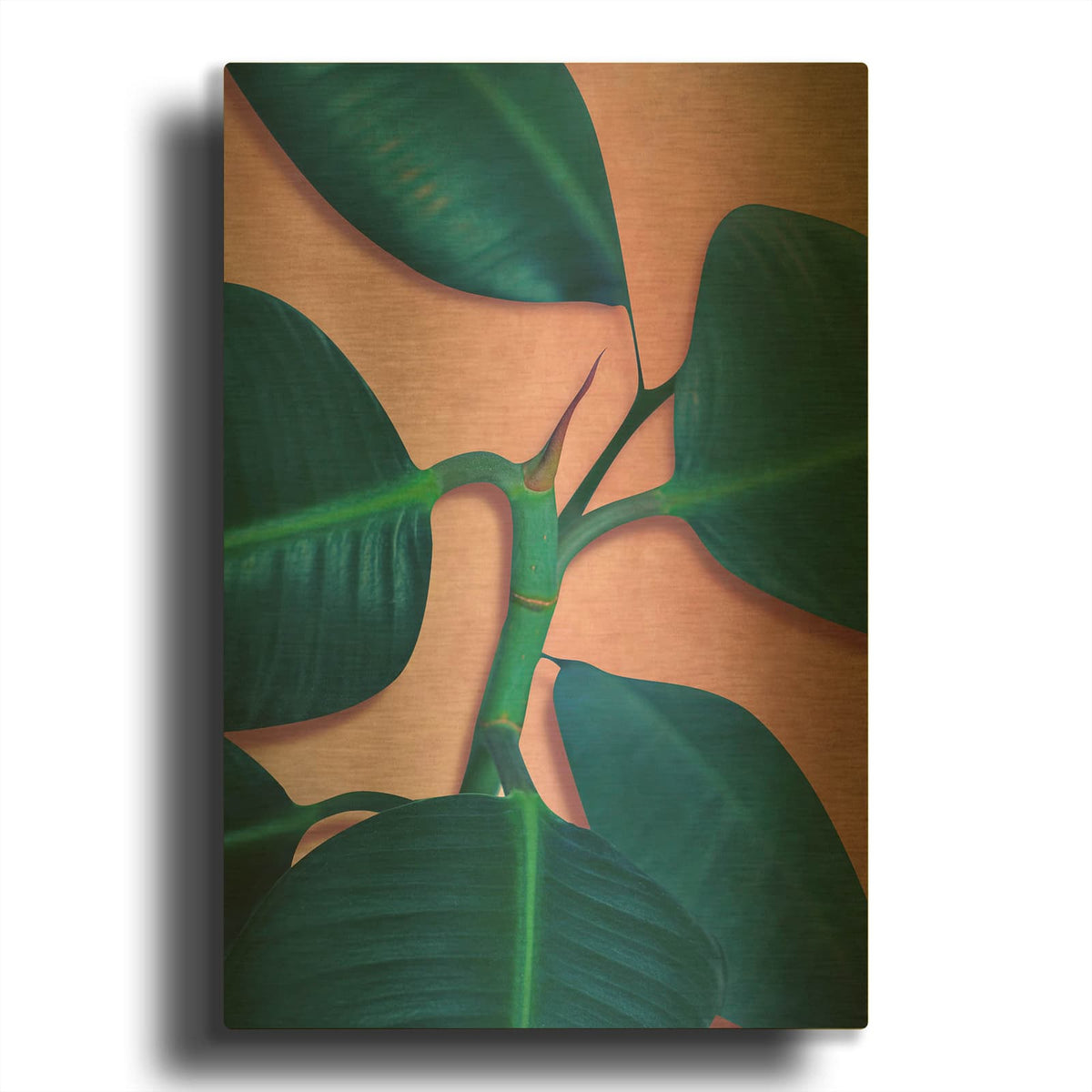 'Ficus Elastica' By Mark Ashkenazi Gold Metal Wall Art