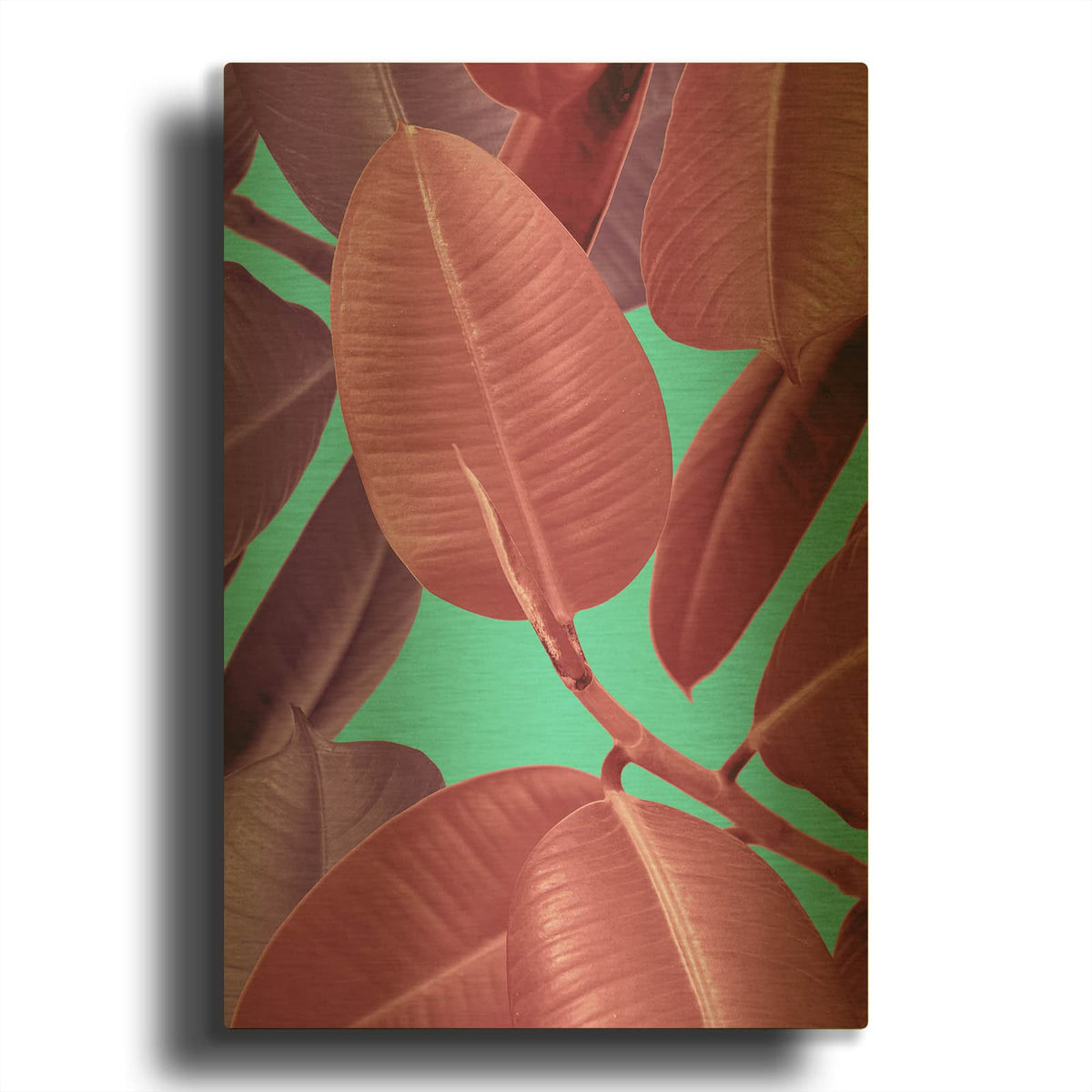 'Ficus Elastica 4' By Mark Ashkenazi Gold Metal Wall Art