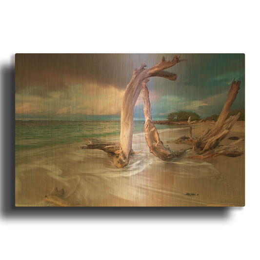 'Driftwood Sunset' By Kathrine Gendreau Gold Metal Wall Art
