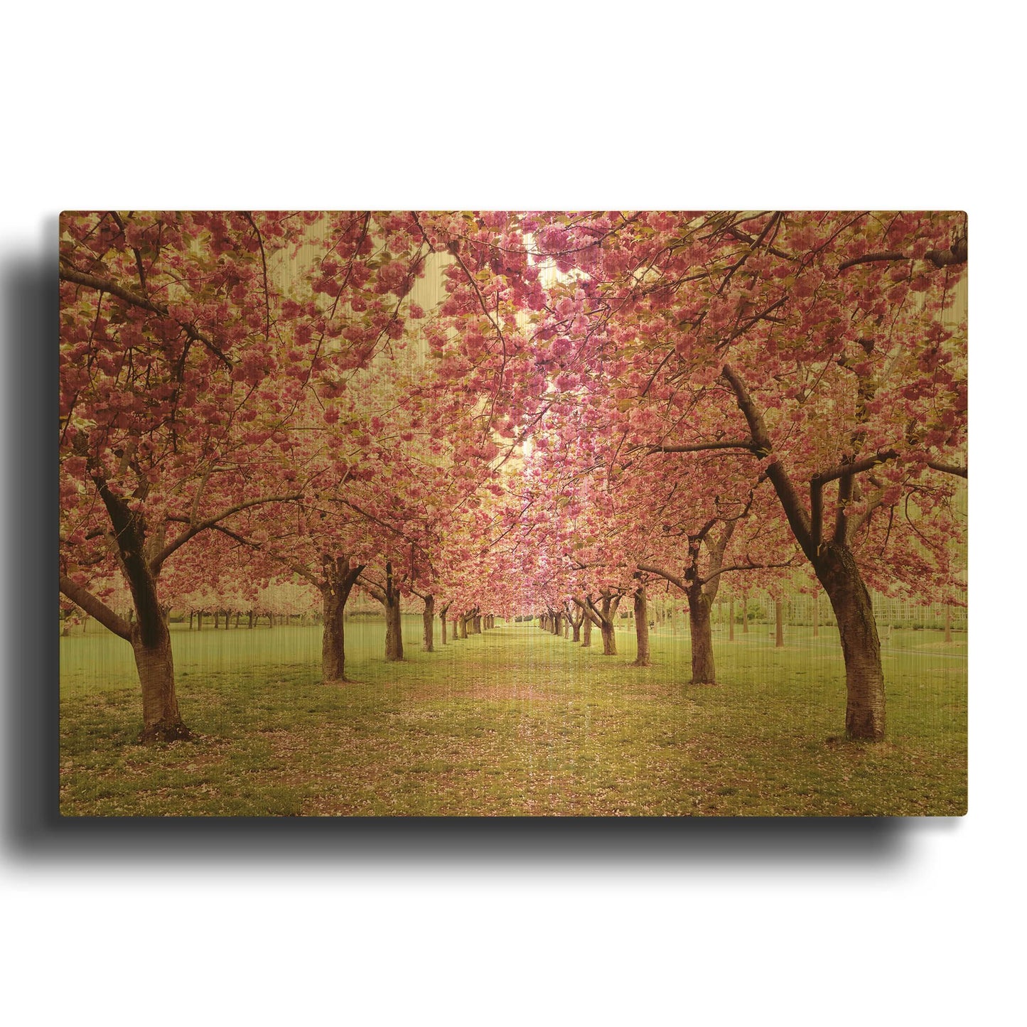 'Hall of Cherries' By Kathrine Gendreau Gold Metal Wall Art