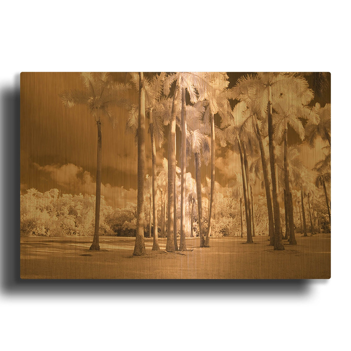 'Florida Palms' By JD Gold Metal Wall Art