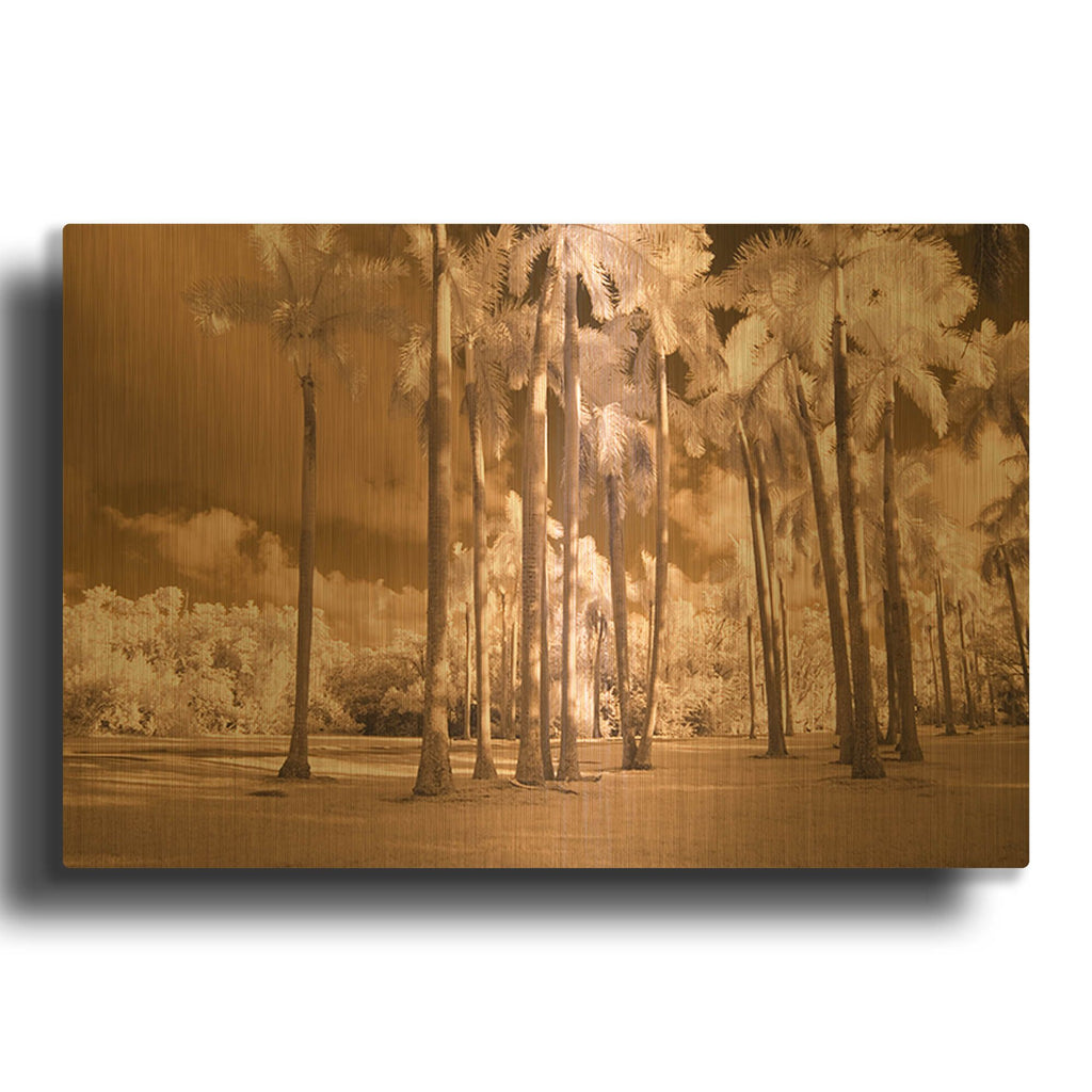 'Florida Palms' By JD Gold Metal Wall Art