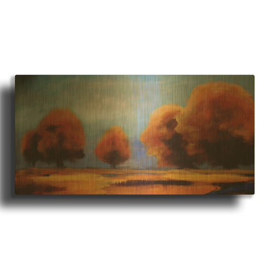 'Western Sky' By JD Gold Metal Wall Art