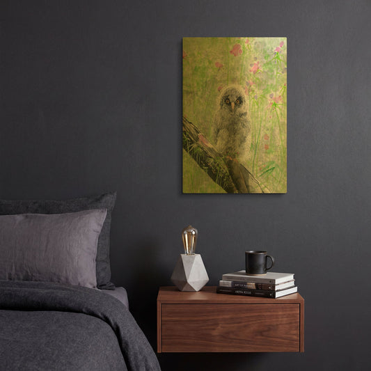 'Owlet' By River Han Gold Metal Wall Art