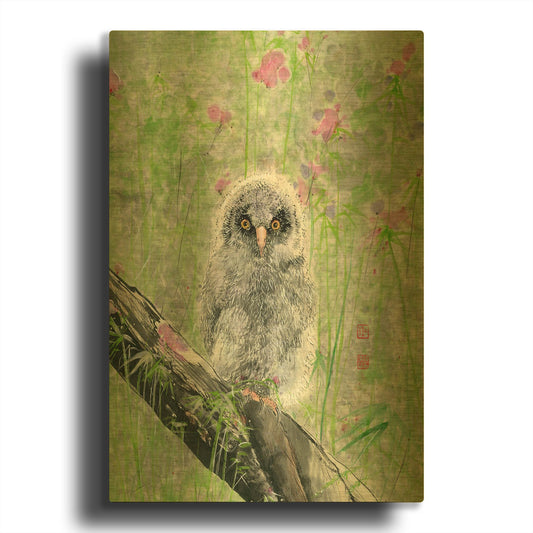 'Owlet' By River Han Gold Metal Wall Art