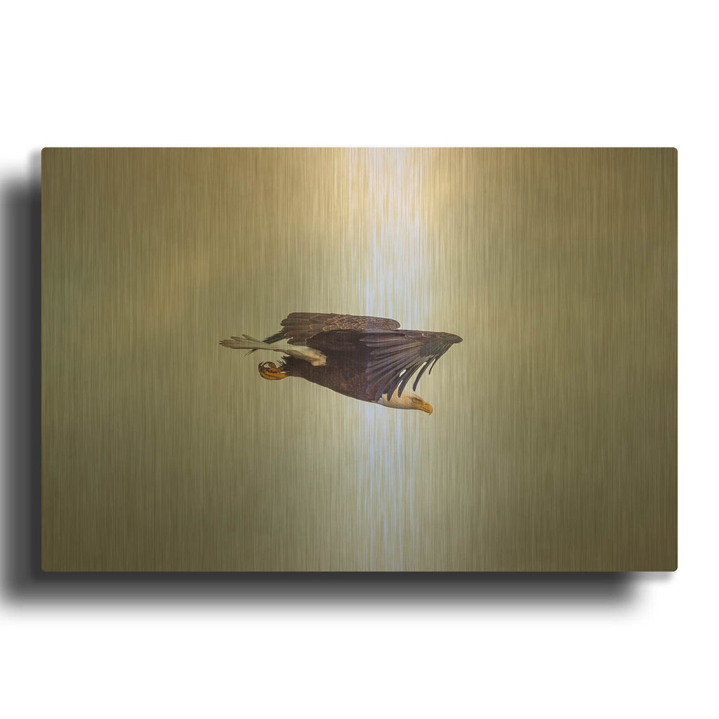 'Bald Eagle Soas' By Luxe Gold Metal Wall Art
