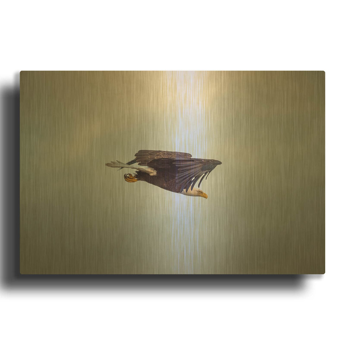 'Bald Eagle Soas' By Luxe Gold Metal Wall Art