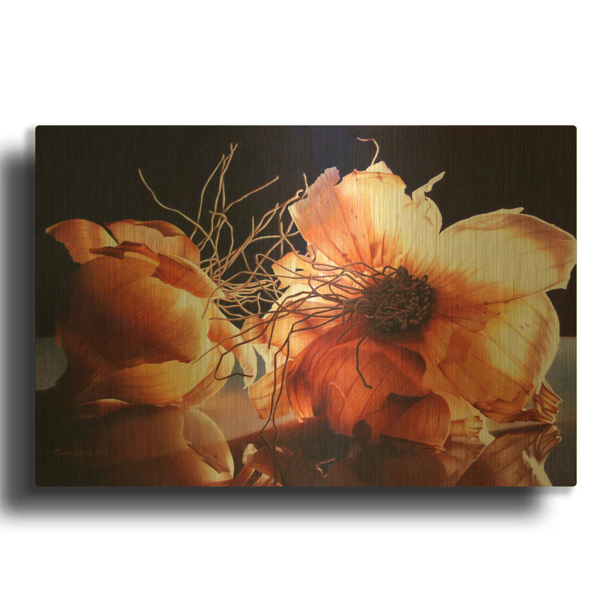'Don' By Cecile Baird Gold Metal Wall Art