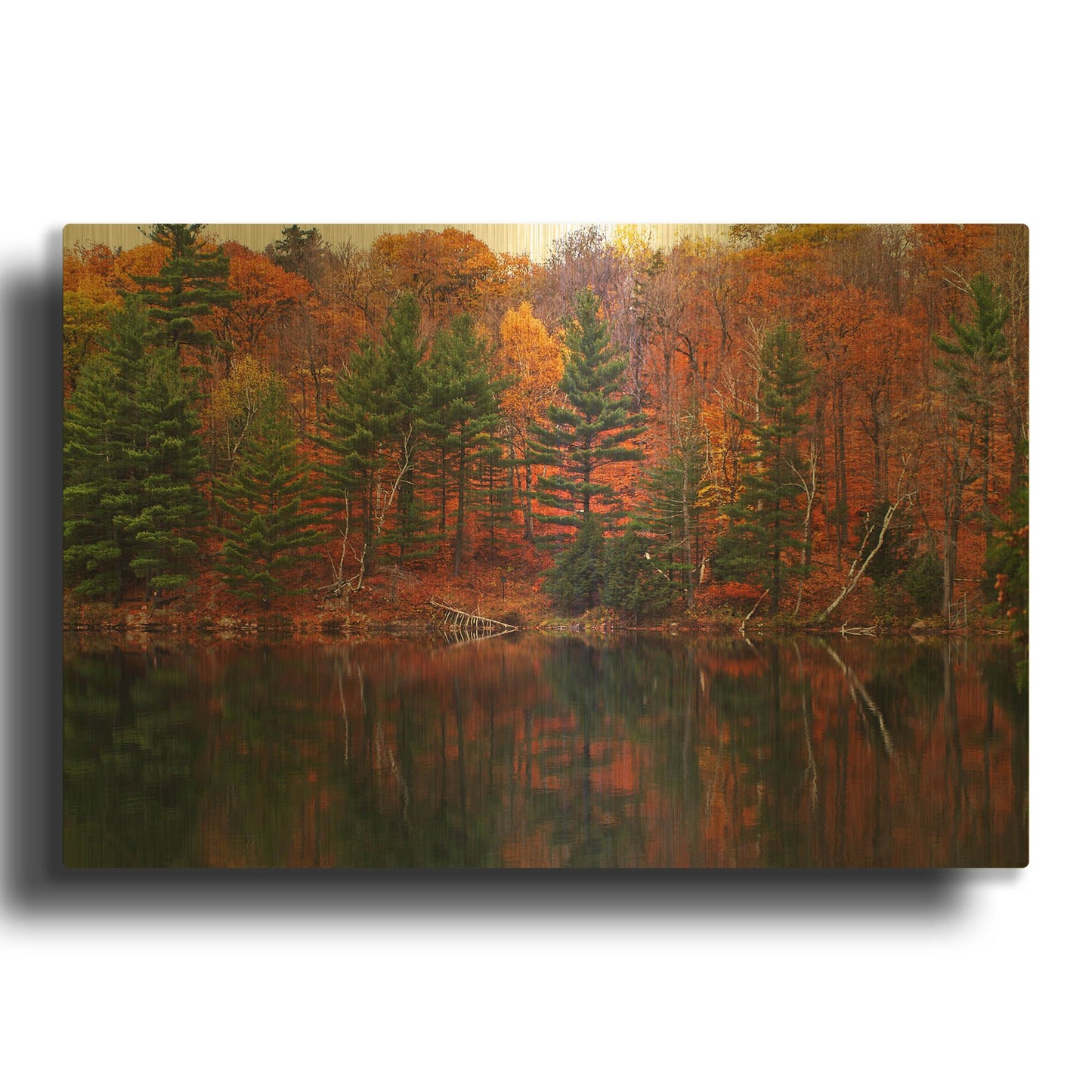 'Meech Lake Reflections' By Clive Branson Gold Metal Wall Art
