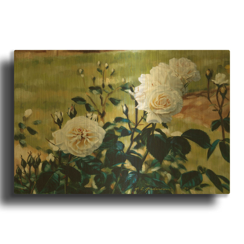 'White Roses' By Robin Anderson Gold Metal Wall Art