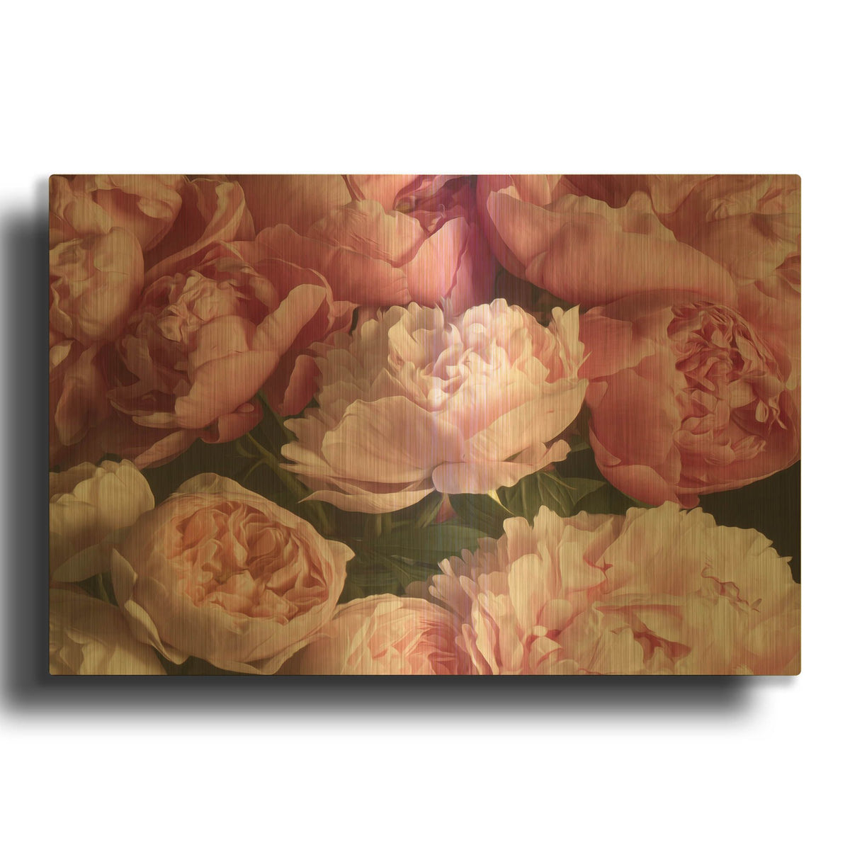 'Pink Petals' By Leah McLean Gold Metal Wall Art