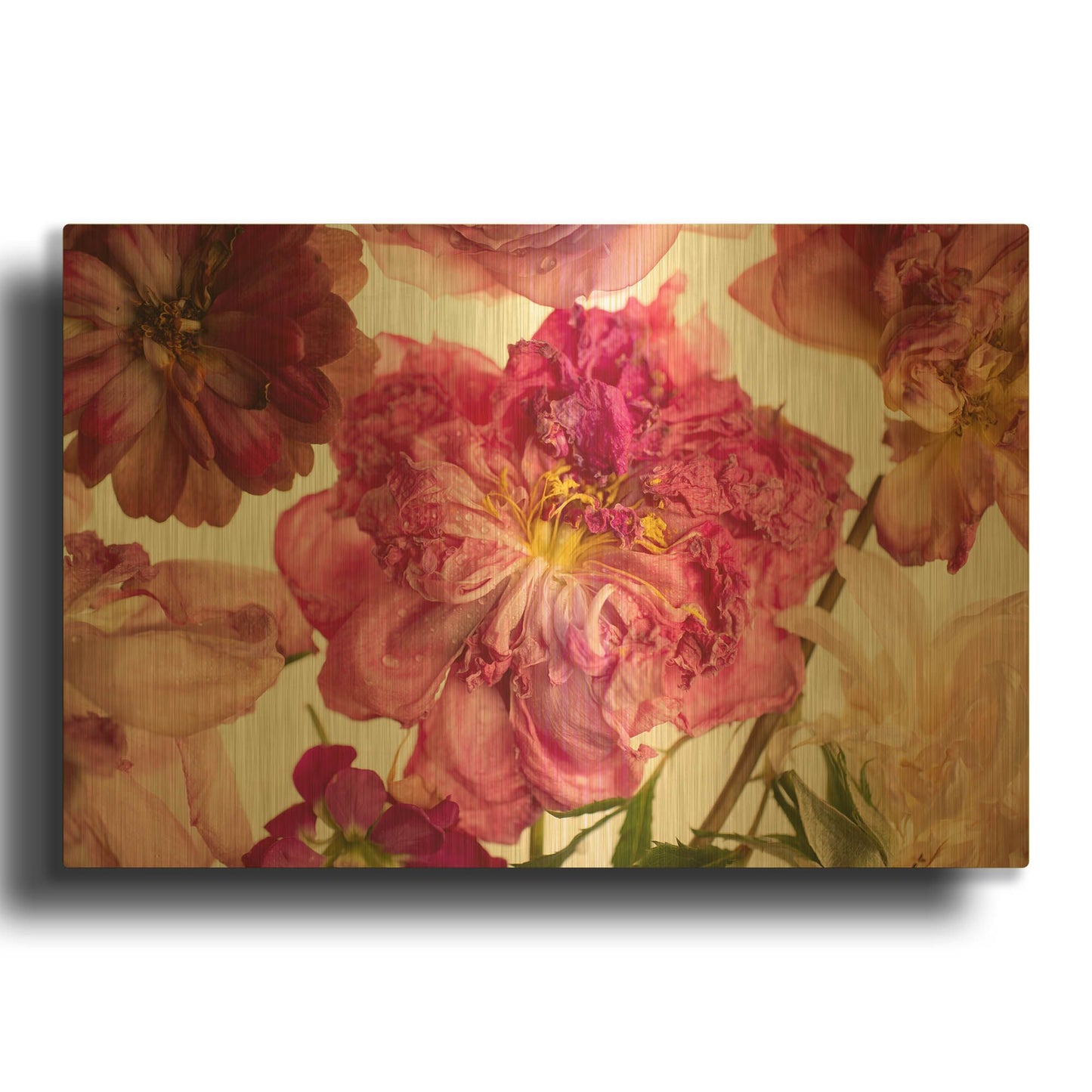 'Peony on White' By Leah McLean Gold Metal Wall Art