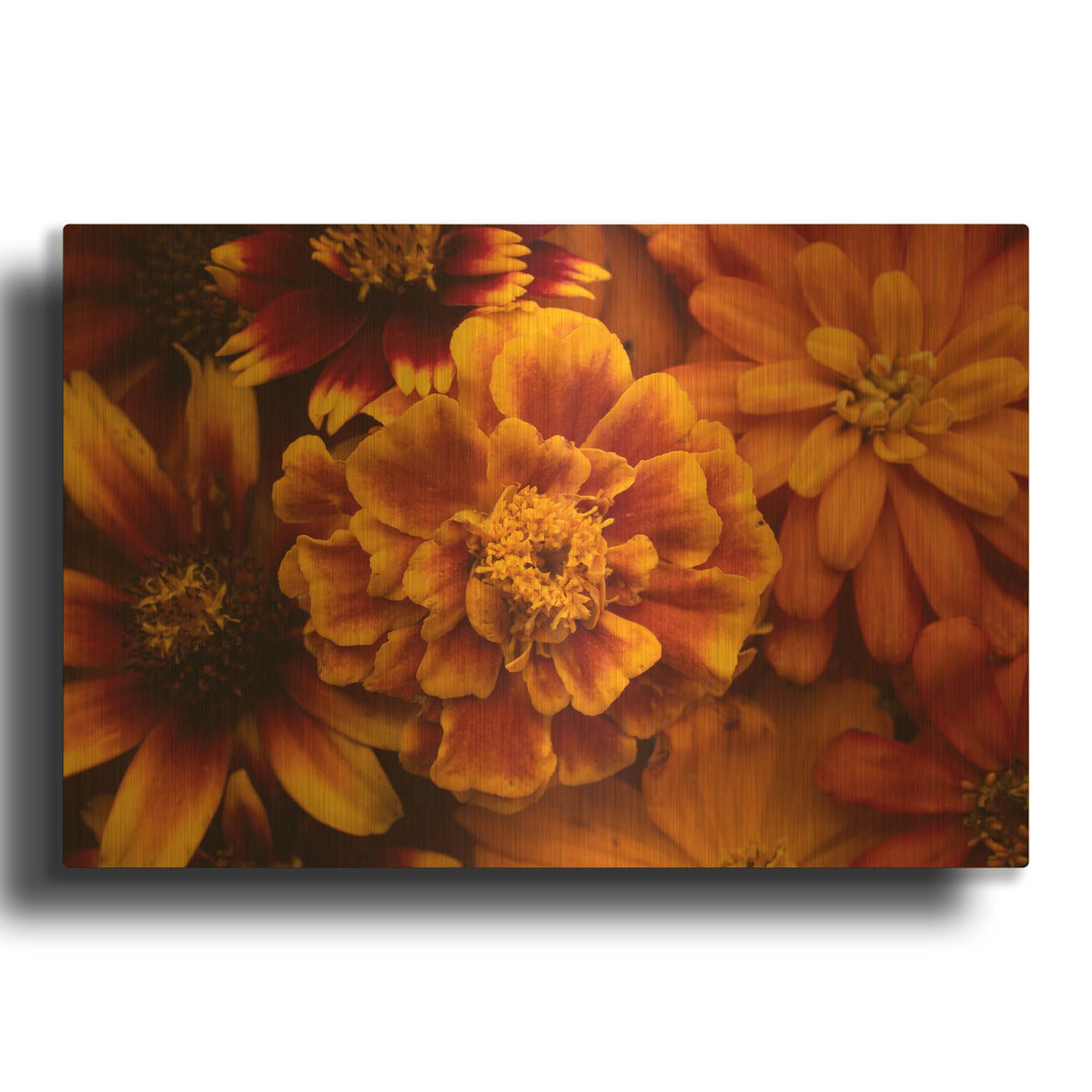 'Marigold Petals' By Leah McLean Gold Metal Wall Art