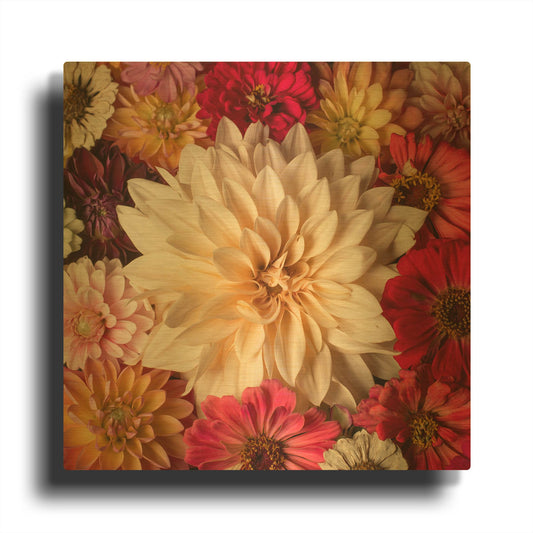 'Dahlia Waltz' By Leah McLean Gold Metal Wall Art