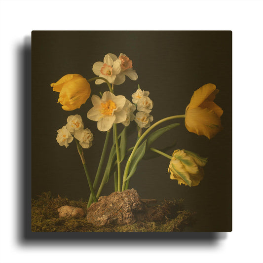 'Signs of Spring' By Leah McLean Gold Metal Wall Art