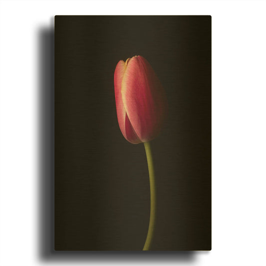 'Perfect Curve' By Leah McLean Gold Metal Wall Art