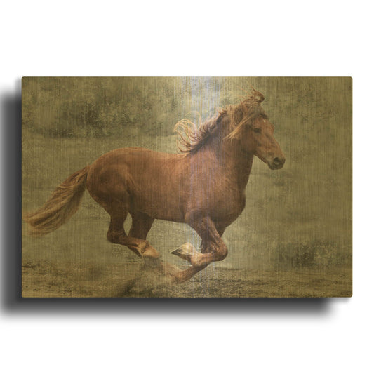 'Renoir' By Susan Friedman Gold Metal Wall Art