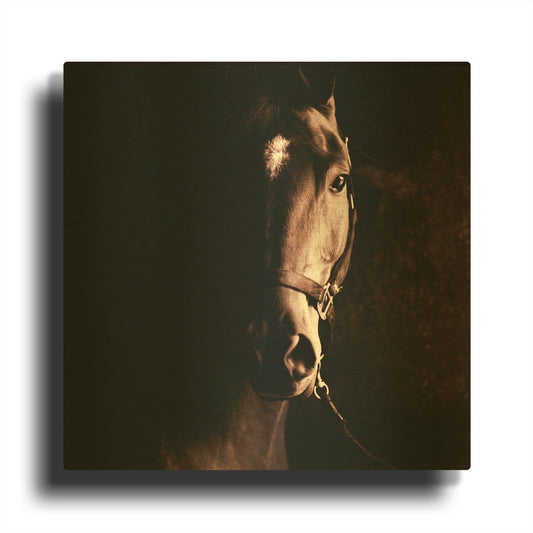 'Tevy' By Susan Friedman Gold Metal Wall Art