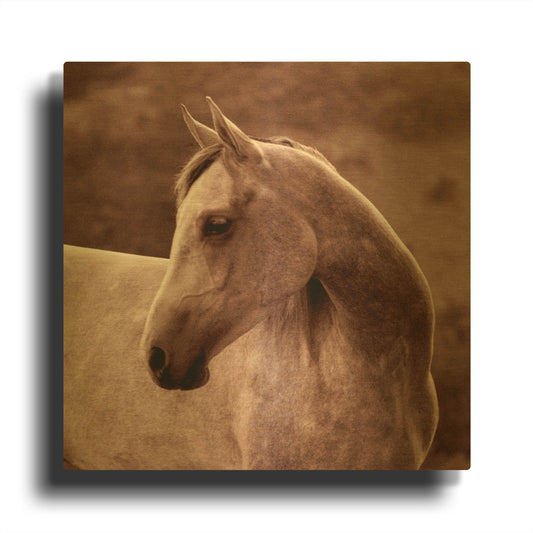 'Tempest' By Susan Friedman Gold Metal Wall Art