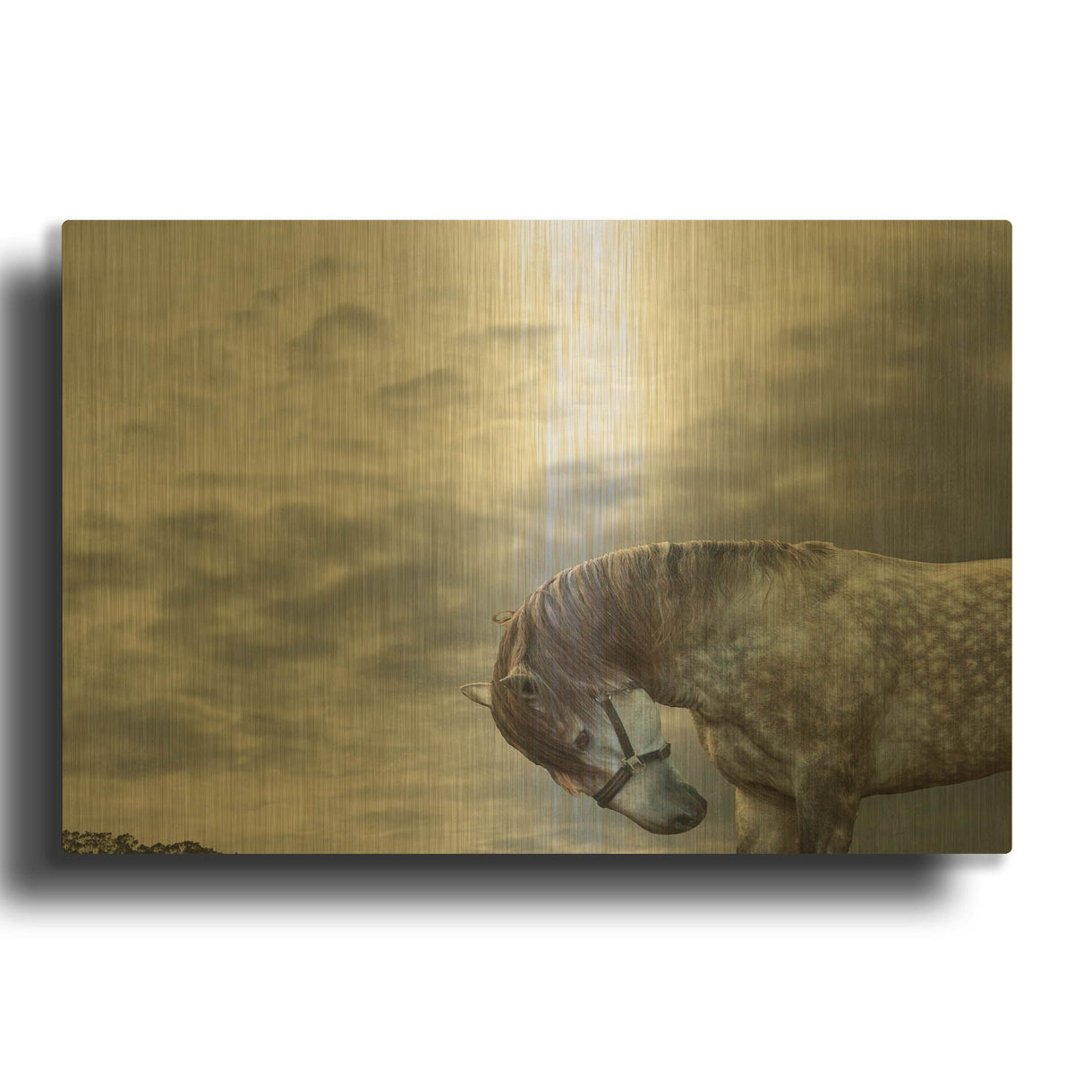 'Vito' By Susan Friedman Gold Metal Wall Art