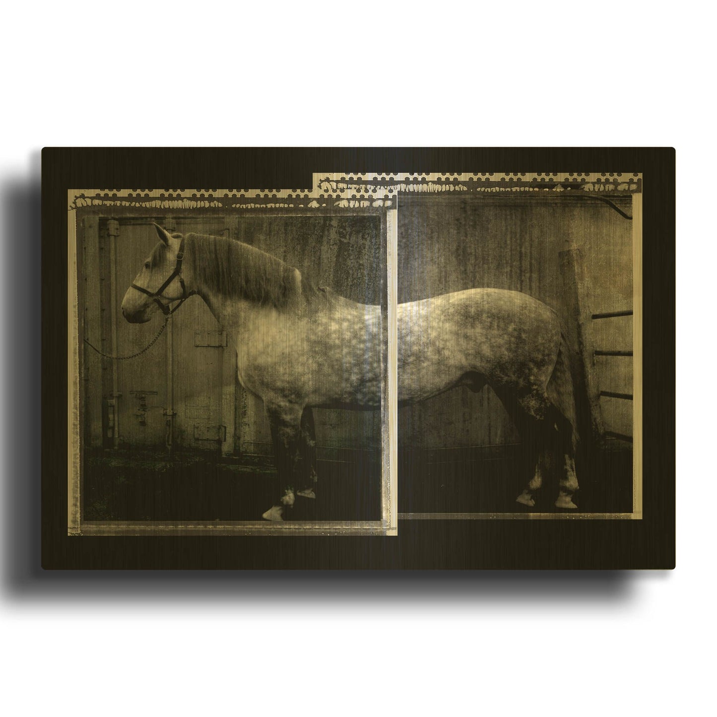 'Vito 2' By Susan Friedman Gold Metal Wall Art