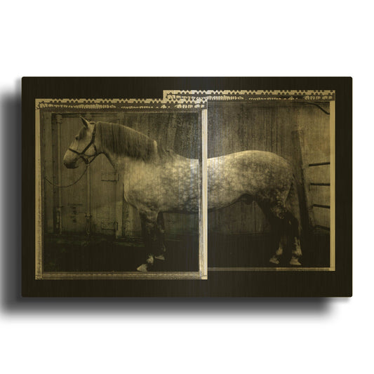 'Vito 2' By Susan Friedman Gold Metal Wall Art
