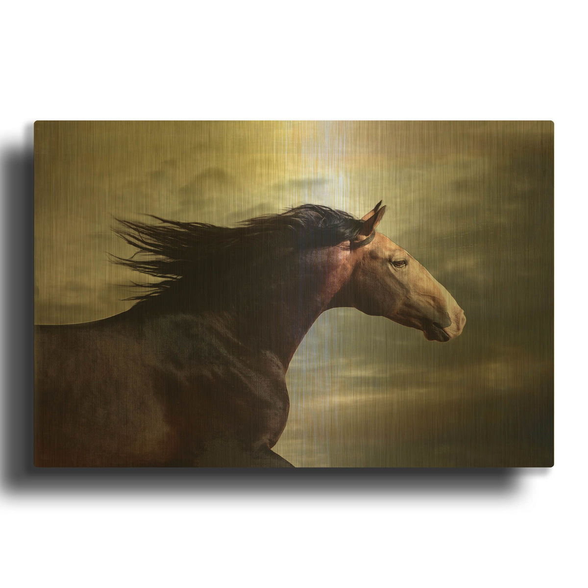 'Coral Da Broa' By Susan Friedman Gold Metal Wall Art