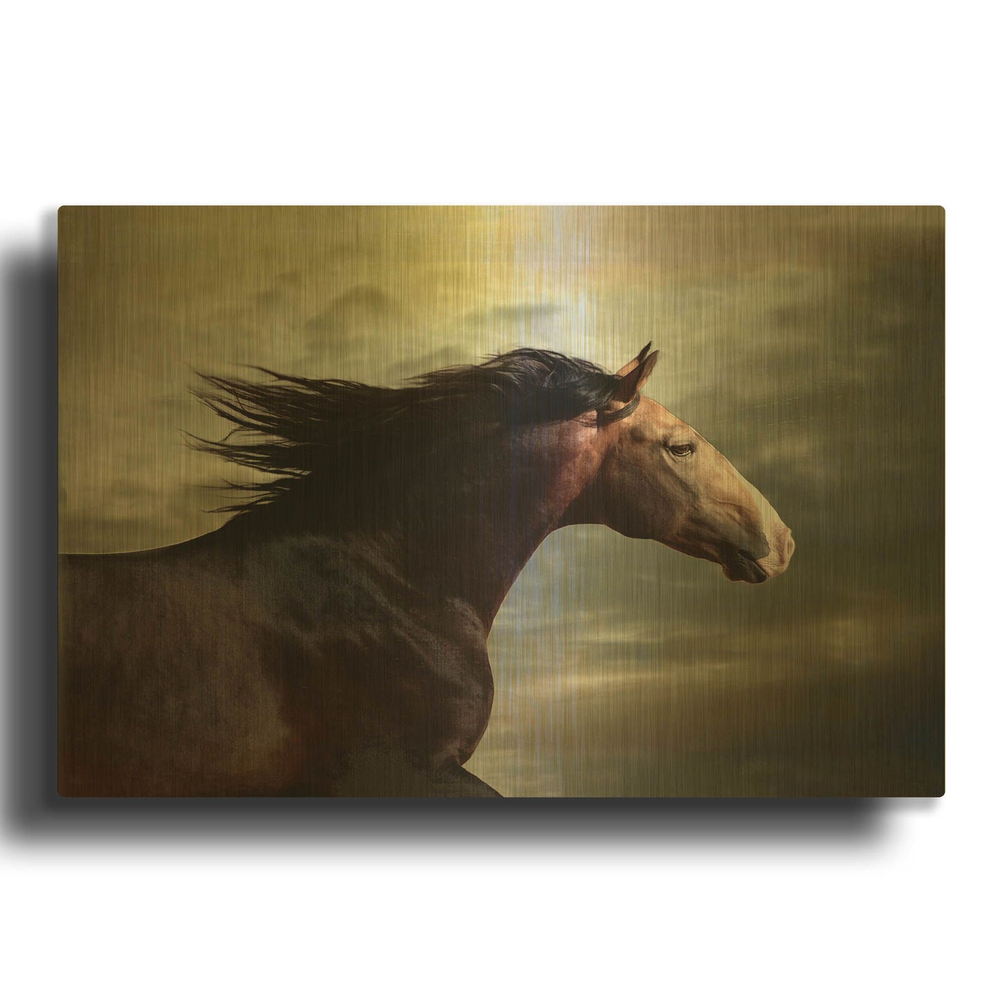'Coral Da Broa' By Susan Friedman Gold Metal Wall Art