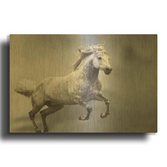 'Grey On Grey' By Susan Friedman Gold Metal Wall Art