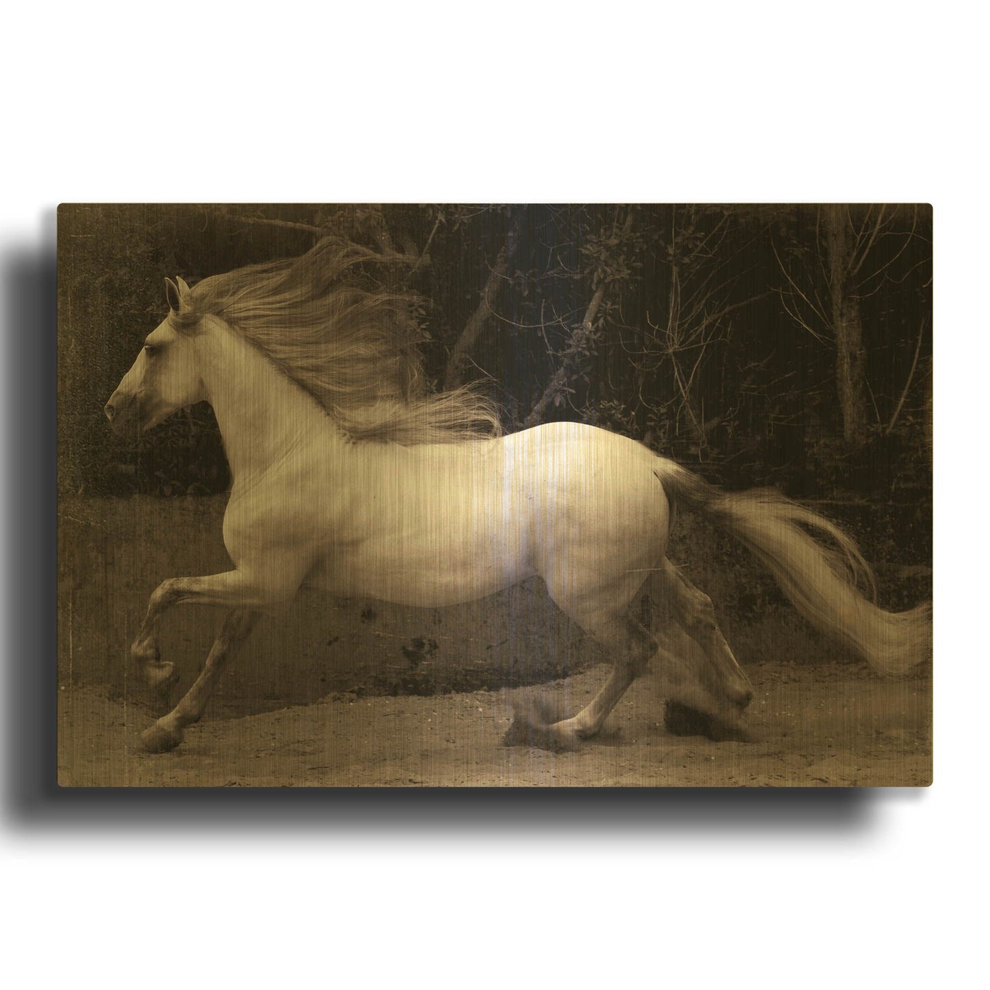 'Forest Adventure' By Susan Friedman Gold Metal Wall Art