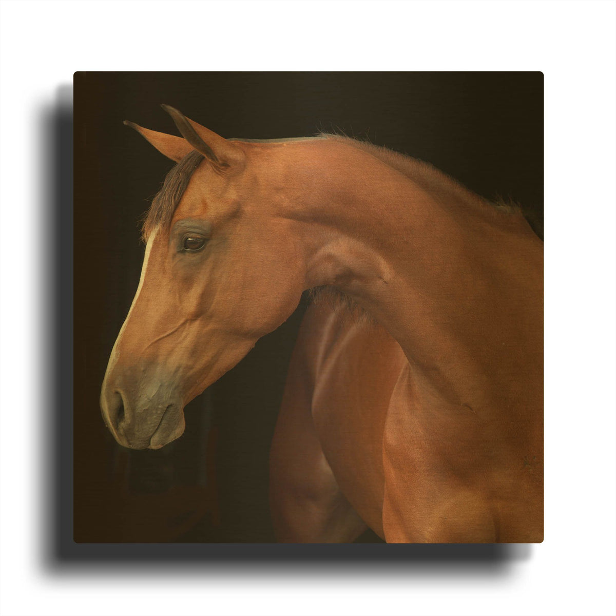 'Jack' By Susan Friedman Gold Metal Wall Art