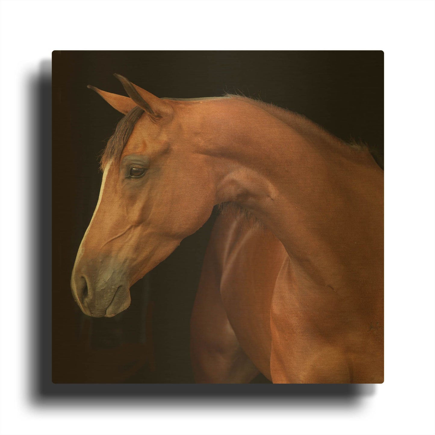 'Jack' By Susan Friedman Gold Metal Wall Art
