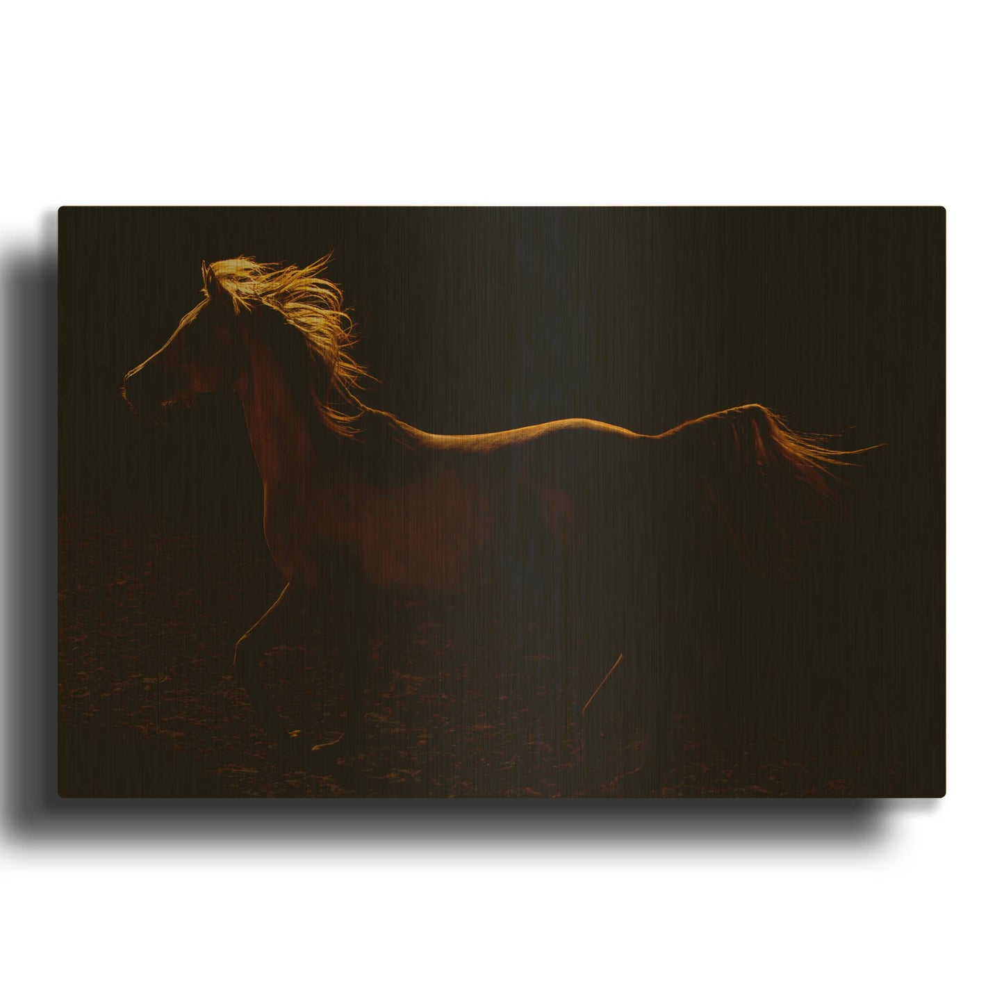 'Rim Light' By Susan Friedman Gold Metal Wall Art