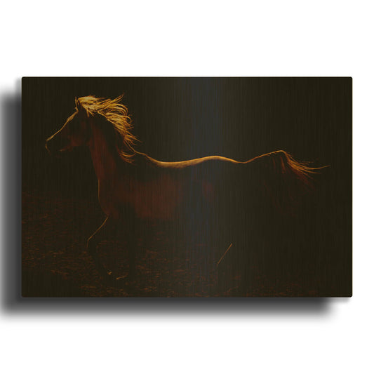 'Rim Light' By Susan Friedman Gold Metal Wall Art