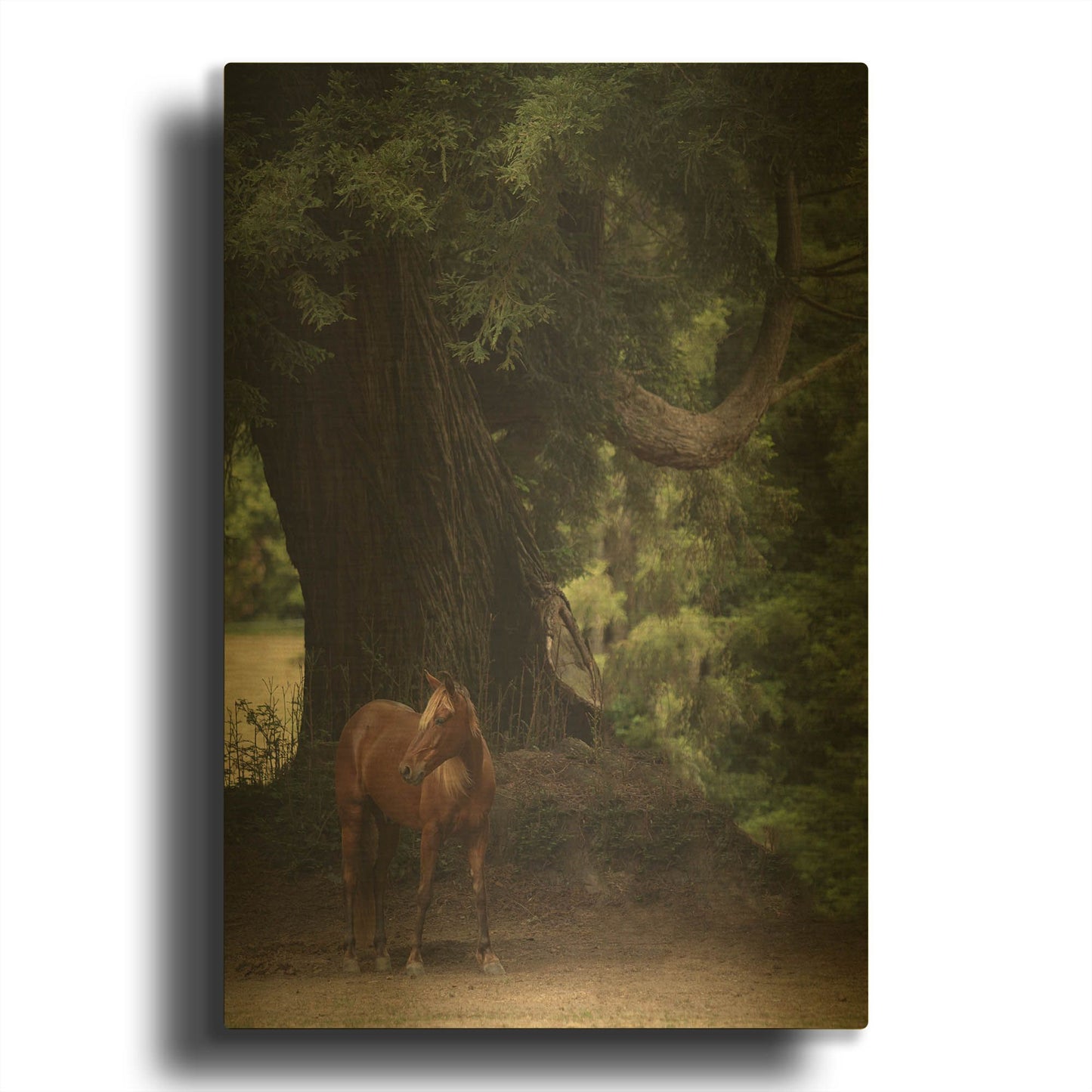 'Cruz' By Susan Friedman Gold Metal Wall Art