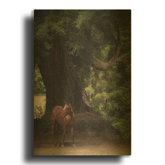 'Cruz' By Susan Friedman Gold Metal Wall Art