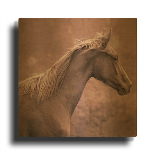 'Colt' By Susan Friedman Gold Metal Wall Art