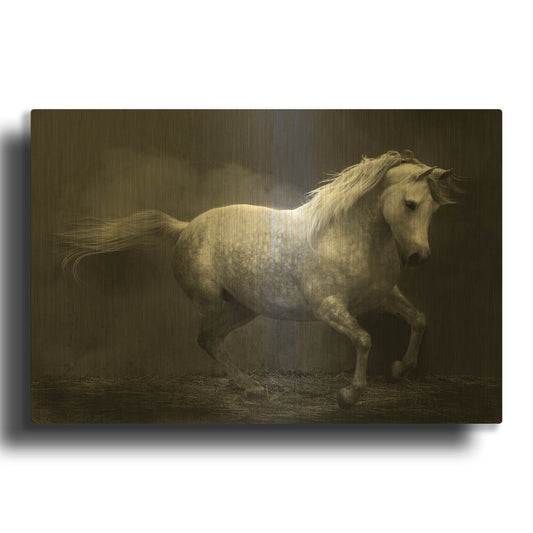 'Morocco Barb' By Susan Friedman Gold Metal Wall Art