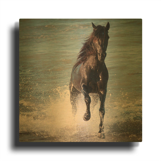 'Wet' By Susan Friedman Gold Metal Wall Art