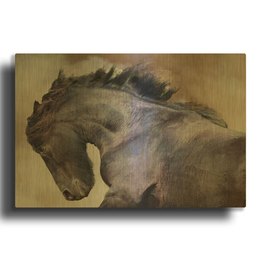 'Zandocan' By Susan Friedman Gold Metal Wall Art