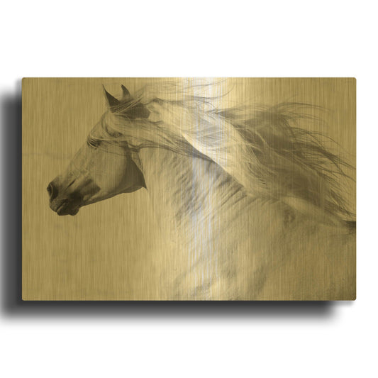 'Coudelaria De Villa Vicosa' By Susan Friedman Gold Metal Wall Art