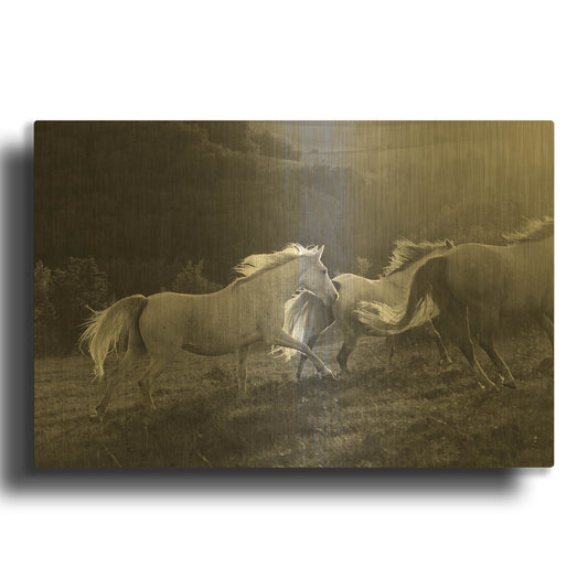 'Late Light' By Susan Friedman Gold Metal Wall Art