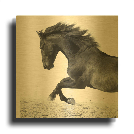 'Zalso' By Susan Friedman Gold Metal Wall Art
