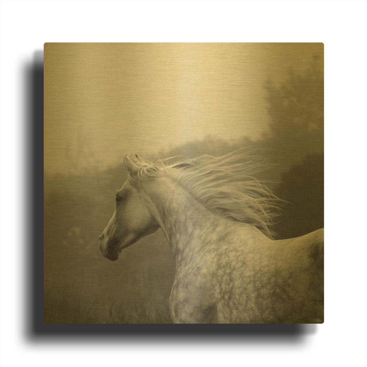 'Shira Runs' By Susan Friedman Gold Metal Wall Art