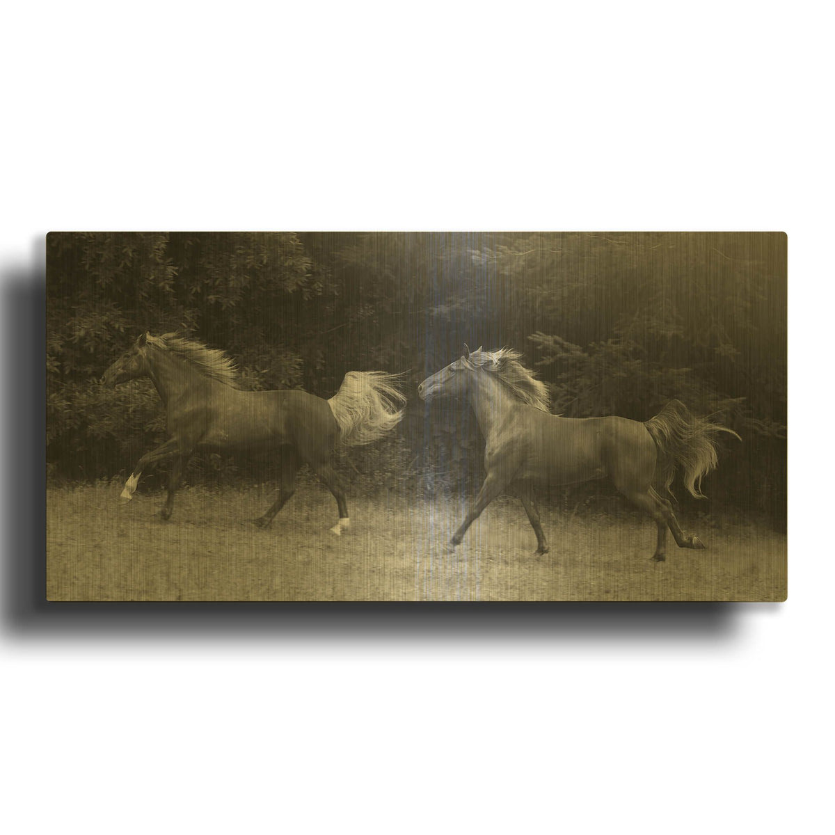 'Magnolia And Cruz' By Susan Friedman Gold Metal Wall Art