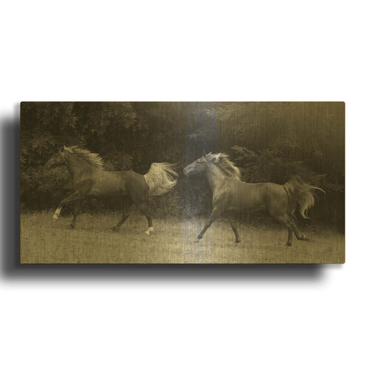 'Magnolia And Cruz' By Susan Friedman Gold Metal Wall Art