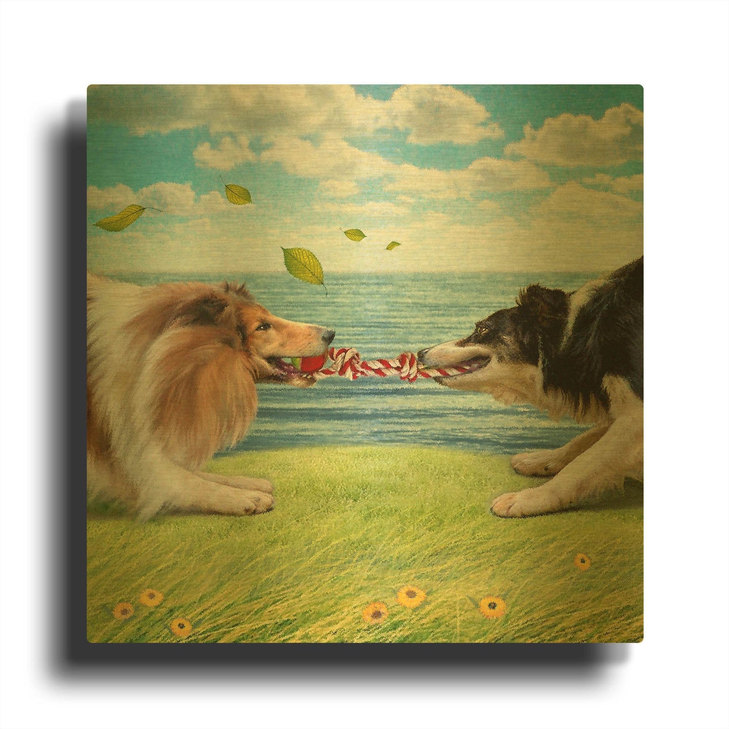 'Five Of Air-Collies' By Dan Craig Gold Metal Wall Art