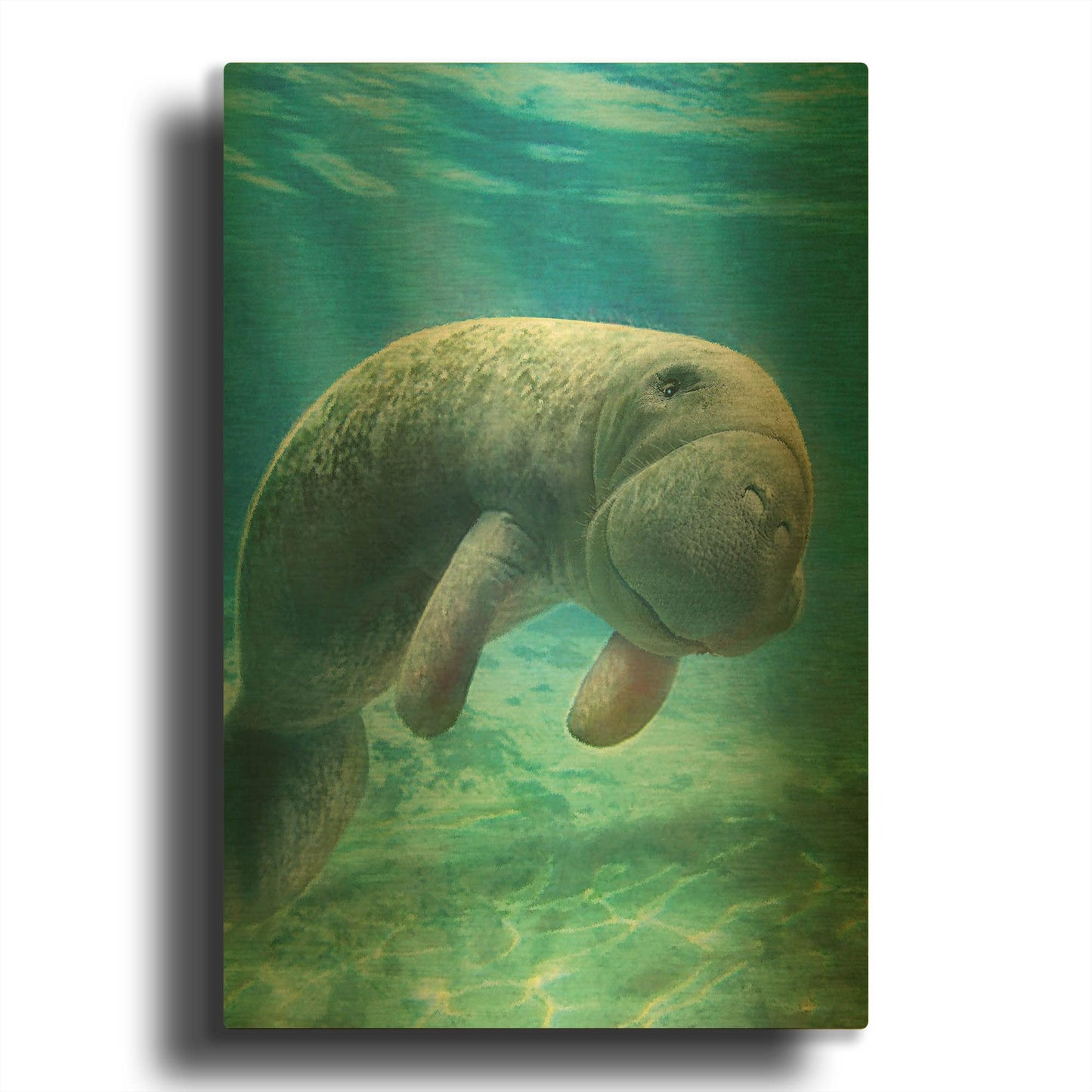 'Five Of Earth-Manatee' By Dan Craig Gold Metal Wall Art