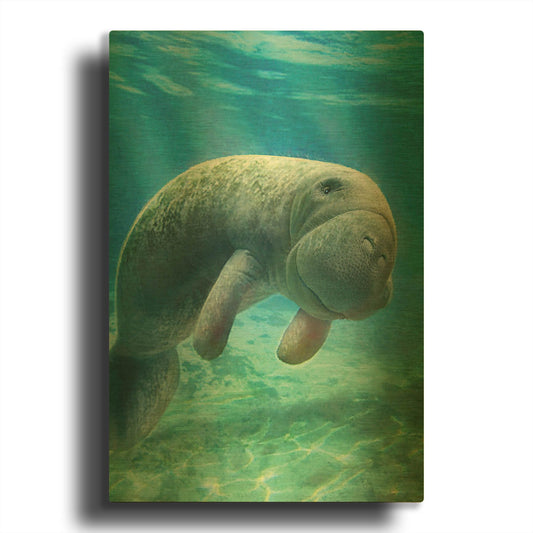 'Five Of Earth-Manatee' By Dan Craig Gold Metal Wall Art