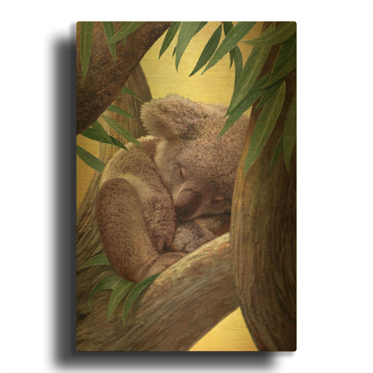 'Four Of Air-Koala' By Dan Craig Gold Metal Wall Art